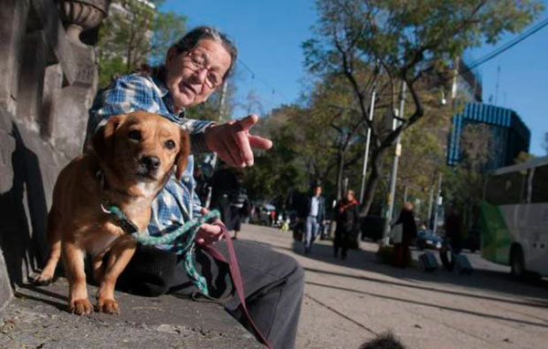 Los dueños que tengan a sus mascotas viviendo en azoteas o zotehuelas podrán ser sancionados. FOTO: CUARTOSCURO / ARCHIVO.