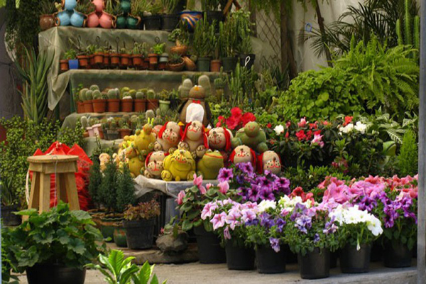 mercado de las flores