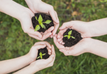 Solución crucigrama: 16 agosto 2019