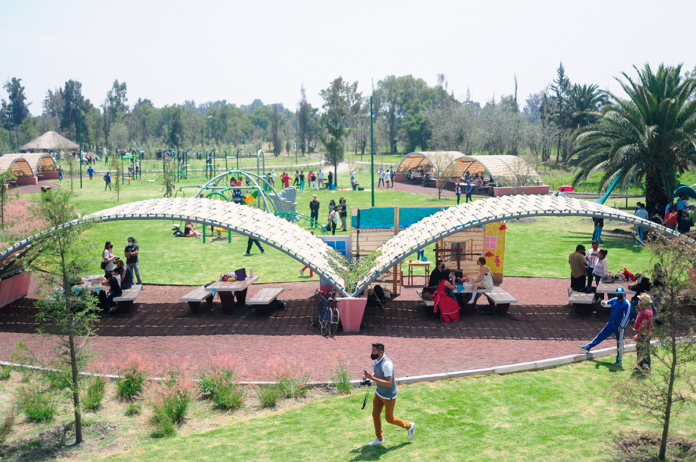 Rehabilitan El Parque Ecológico De Xochimilco Máspormás