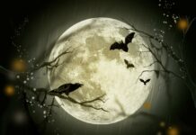 Solución crucigrama: 27 octubre 2021