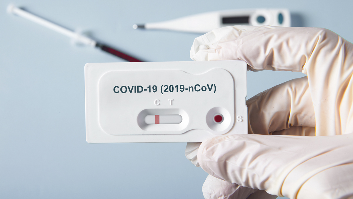 Doctor holding a test kit for viral disease COVID-19 2019-nCoV. Lab card kit tested NEGATIVE for viral novel coronavirus sars-cov-2 virus