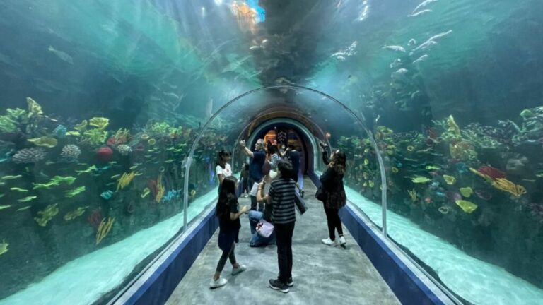 ¡Conoce el Acuario Michin en CDMX! Horarios, precio y todo lo que debes ...