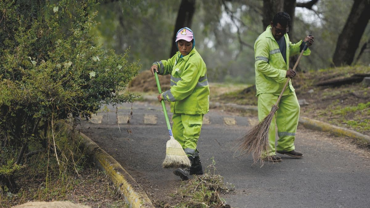 Parques ALEGRÍA reavivarán los espacios verdes de la capirucha - Máspormás