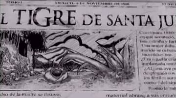 Santa Julia, barrio y tigre