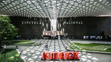Gracias a sus habitantes la Cineteca Nacional se ha convertido en uno de los sitios favoritos de los capitalinos.