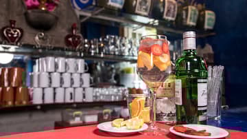Mezcal Tonic