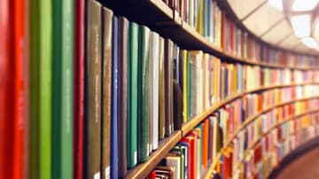 Sopitas habla, en su columna, sobre el promedio de libros que una persona puede leer en su vida