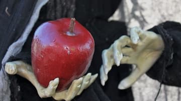 brujas, hechizos y mitos