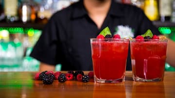 Prueba un Gin Primavera en Centenario 107