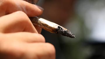 Nacho Lozano escribe hoy, en su columna "Mota para vivir", sobre la necesidad de regular el consumo de mariguana en la CDMX