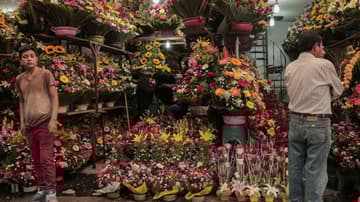 El Mercado de Jamaica es el lugar donde puedes encontrar cualquier tipo de flor o planta en cualquier época del año