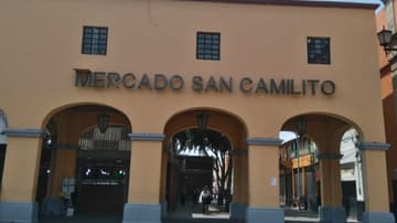 Mercado de San Camilito en Garibaldi.