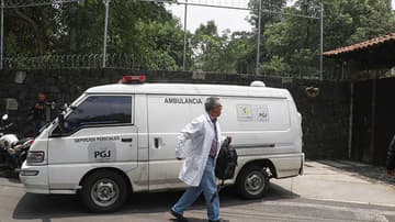 niña ataque perro