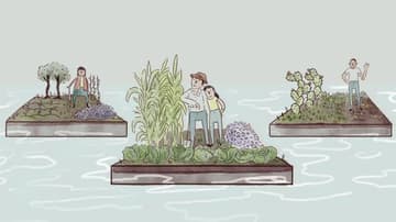 Chinampas de Xochimilco sobreviven