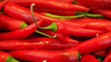 Conoce todo sobre los chiles en el Museo de Historia Natural.