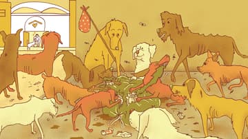 Sobrepoblación de perros en la CDM