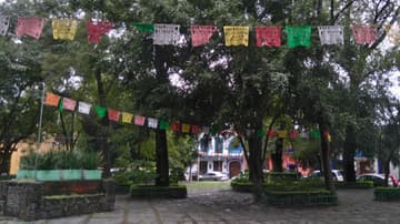 Lugares imperdibles del barrio de Santa Catarina.
