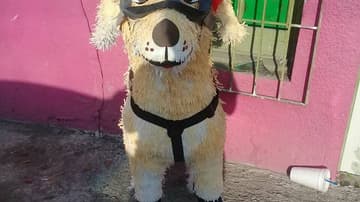 Frida piñata