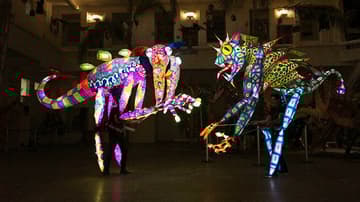 Desfile de Alebrijes 2017