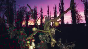 la Isla de las Muñecas en Xochimilco