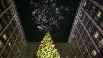 árboles de Navidad más bonitos