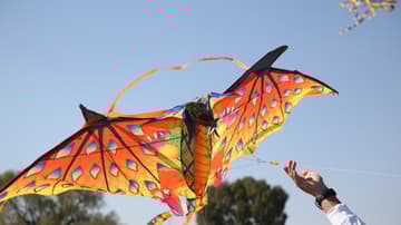 Festival de Papalotes en Tequisquiapan
