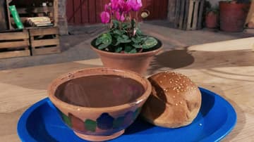 Restaurante Oaxaquita