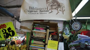 Biblioteca Gregorio Samsa