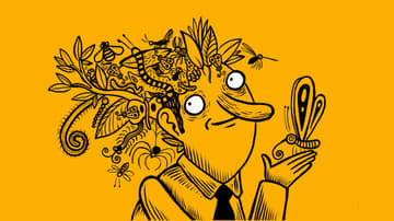 insectos de ciudad