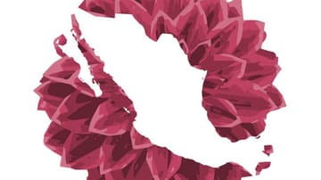 Liberatum en México