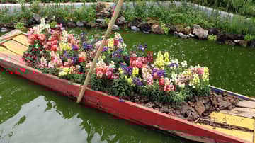 Festival flores y jardines 2018