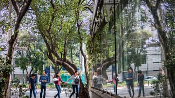Corredor Cultural Roma Condesa 20