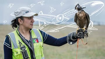 Unidad de Control de Fauna del AICM