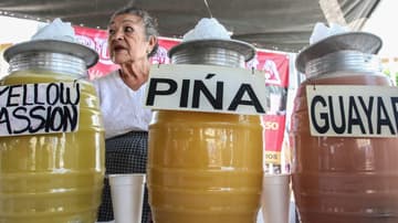 Feria del pulque 2018