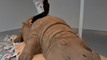Hope Hippo en el Museo Carrillo Gil