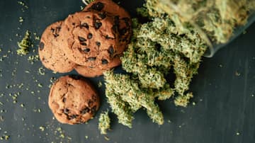 mota