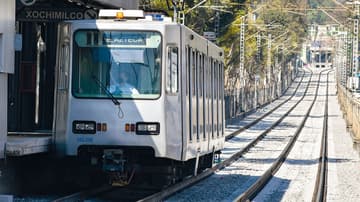 Tren ligero reanuda servicio