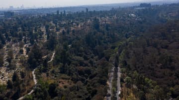La CDMX cuenta con una amplia variedad de bosques y cerros.