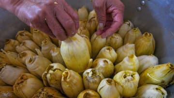 Los tamales son parte de la dieta regular en la CDMX