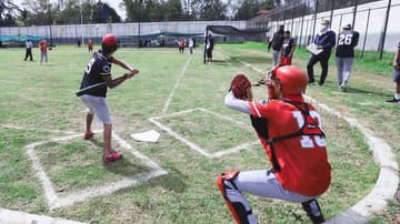 Beisbol reinserción